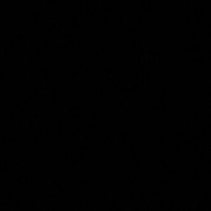 Meet your Posher, Alli